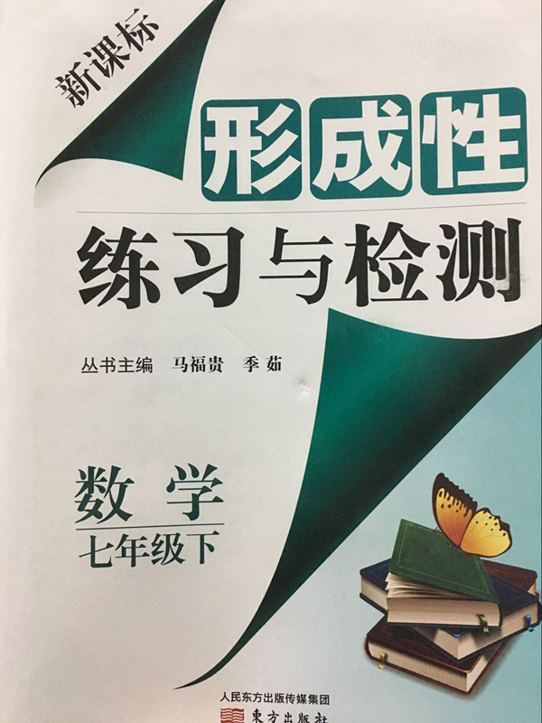 19春新课标 形成性练习与检测 七年级数学下 东城区专用